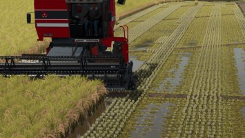 Südliche Reisfarm SA FS25