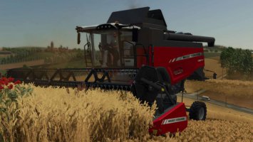 Self levelling AGCO combines