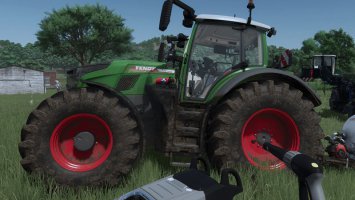 Clean Windows First FS25