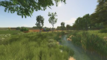 Des Cagouilles Dans L'Garouil