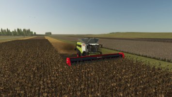 Helianthus-Paket Helianthus-Paket