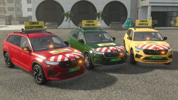 Kodiaq Begleitfahrzeug