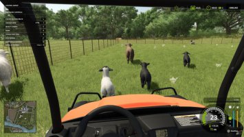 Animal Herding Lite FS25 Animal Herding Lite FS25