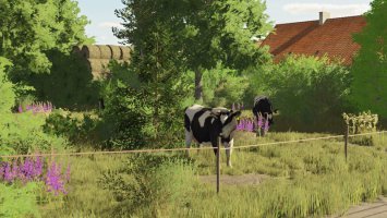 Jadwinów Edit FS22