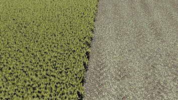 SUGARBEET TEXTURE - ROWCROP READY fs22