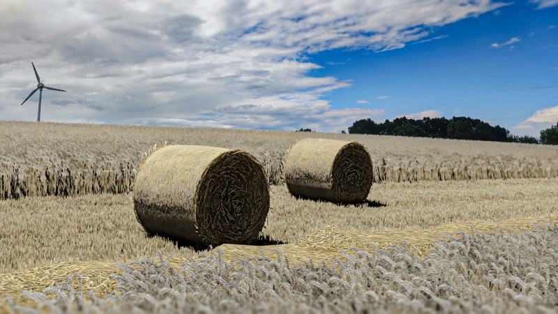 WHEAT - BALES - STRAW FS22