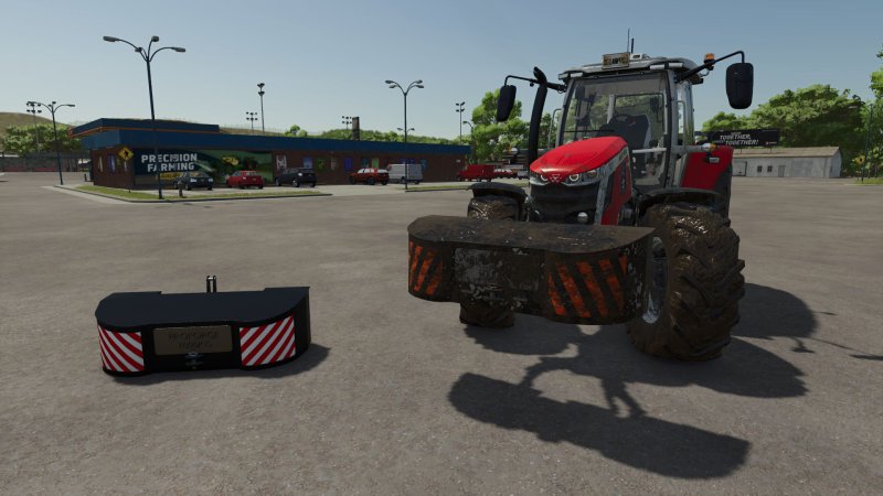 Proforge 1T Weight FS25