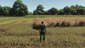 Realistic Canola Growth Cycle in Europe 1.0.0.1 FS25