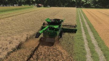 Realistic Canola Growth Cycle in Europe 1.0.0.1 FS25