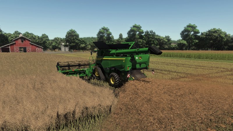 Realistic Canola Growth Cycle in Europe 1.0.0.1