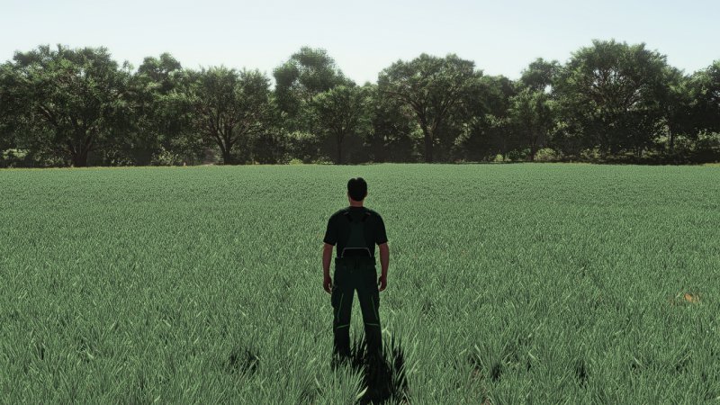 Realistic Oat Growth Cycle in Europe FS25