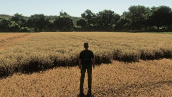 Realistic Wheat & Barley – Europe Growth Cycle