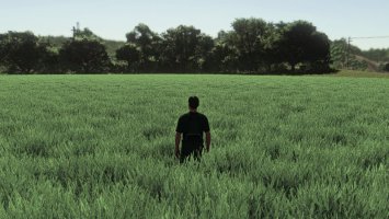 Realistic Wheat & Barley – Europe Growth Cycle FS25 Realistic Wheat & Barley – Europe Growth Cycle FS25