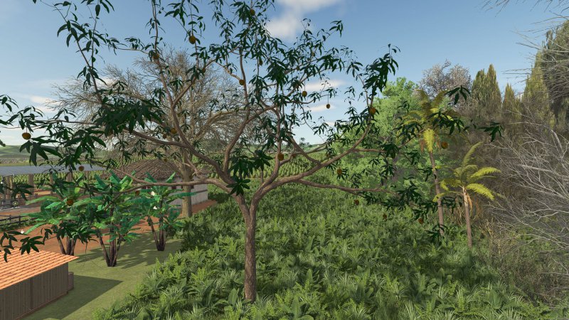 Drzewo mango FS25