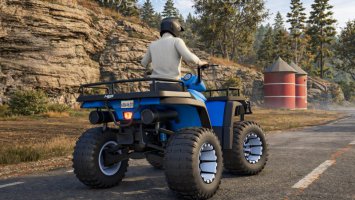 Quad ATV FS25