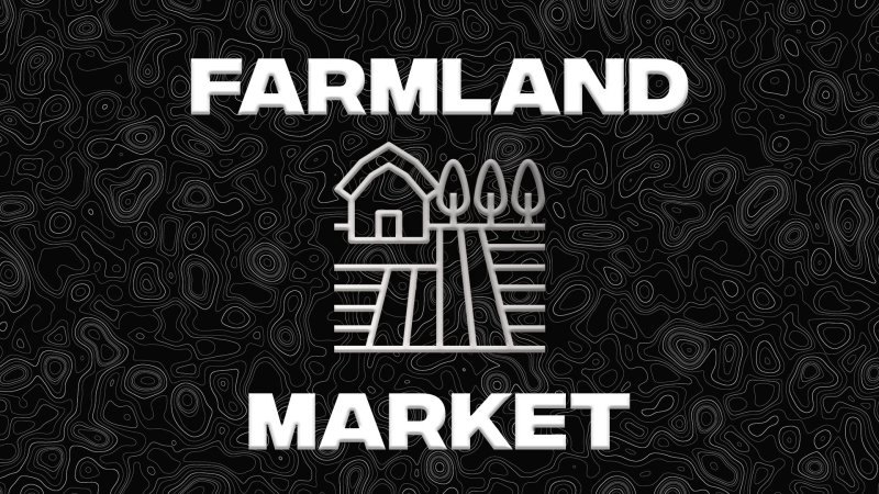Farmland Market beta FS25