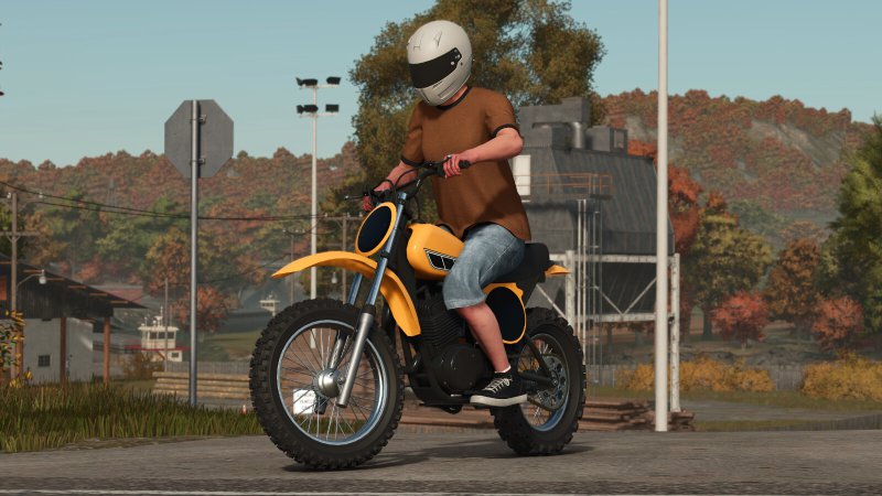 Lizard 80s FS25