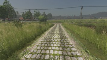Drogi błotne i brukowane FS25