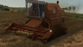 Bizon Gigant FS25
