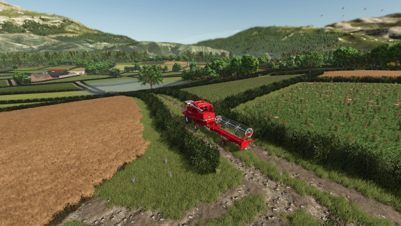 Ebony Island FS25