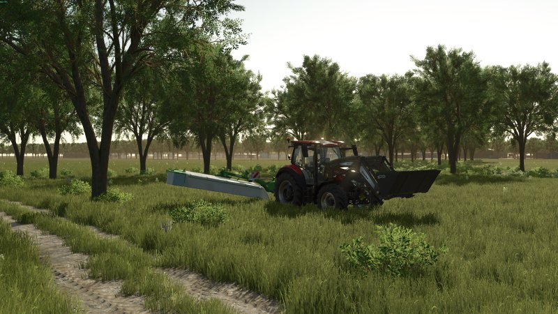 Wulfhagen FS25
