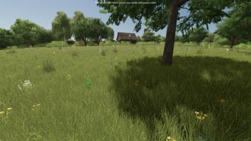 Drzewa rosnące losowo beta FS25