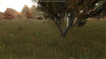 Drzewa rosnące losowo beta FS25