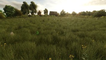 Drzewa rosnące losowo beta fs25