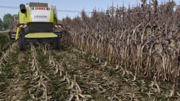 Maize Overhaul FS25