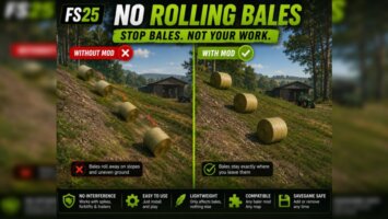No Rolling Bales beta FS25 No Rolling Bales beta FS25