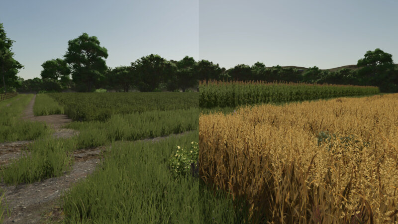 FS25 Repopulate Fields thumbnail 2