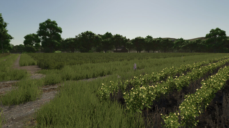 FS25 Repopulate Fields