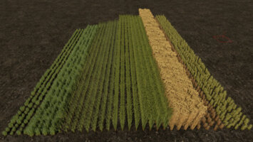 Row Seeding Barley, Oat, Wheat, Canola (Prefab)